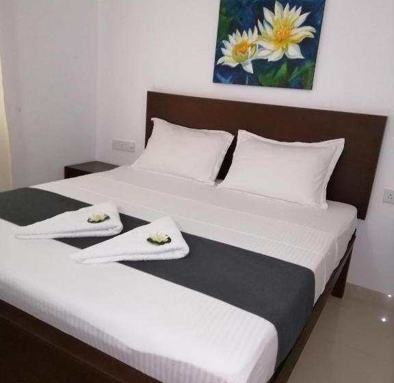 פנסיון White Lotus