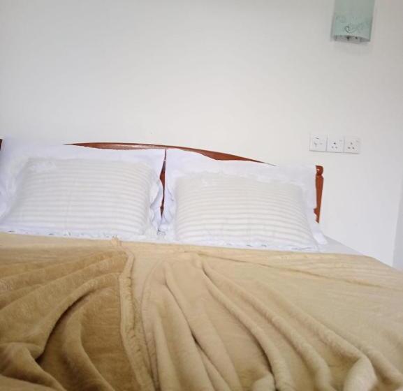 Albergue Nineart Resort