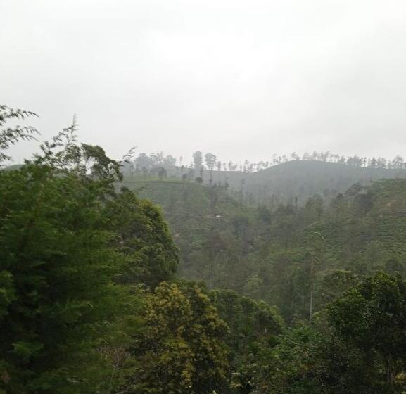 Albergue Nineart Resort