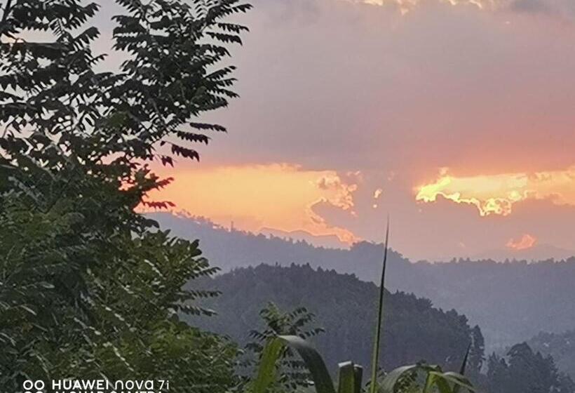 Albergue Nineart Resort