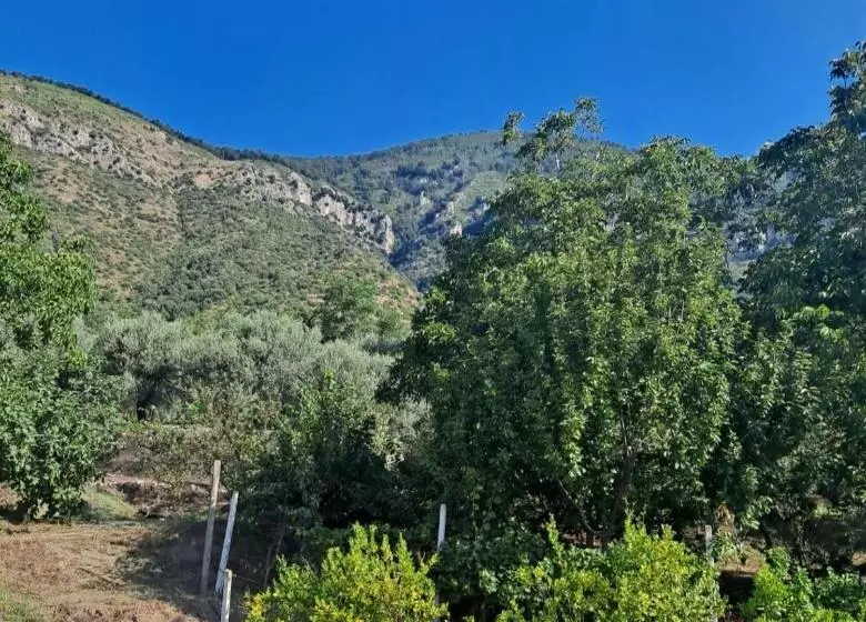 Bed And Breakfast Grotta Dell Olio