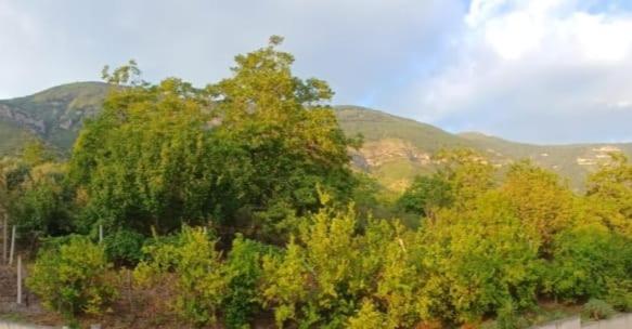 Bed And Breakfast Grotta Dell Olio