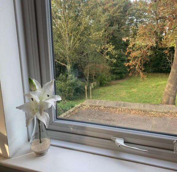 مبيت وإفطار Quarrie House