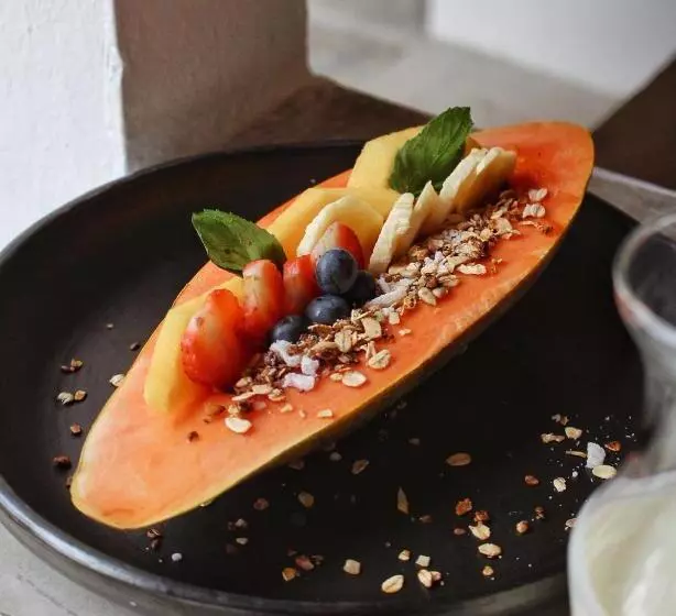 Hotelli Auen Posada Andina