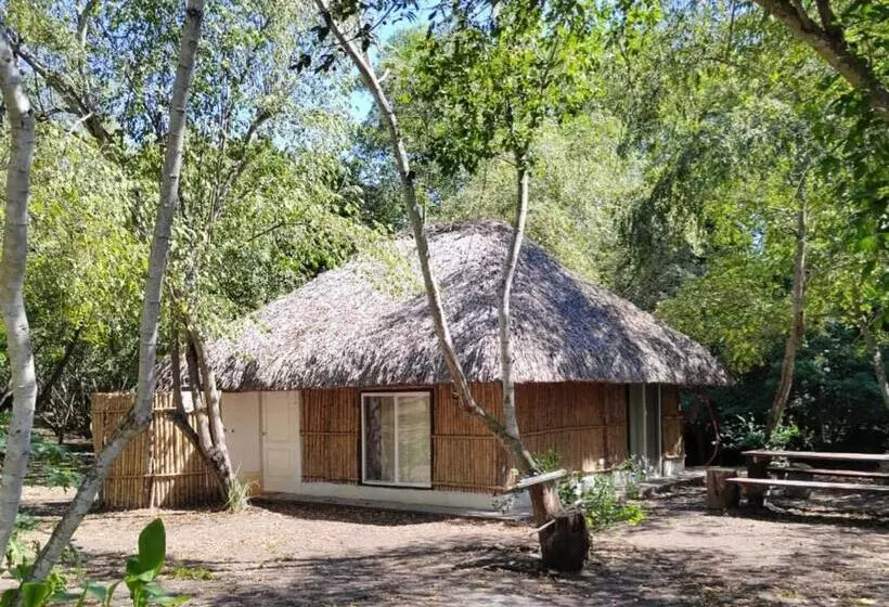 هتل Cabañas, Jardín De Las Palmas, Rancho Agroturístico, Tamuín S.l.p