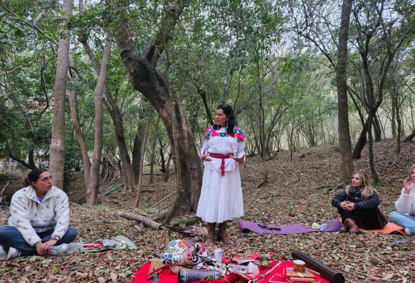 בית מלון כפרי Cabañas, Jardín De Las Palmas, Rancho Agroturístico, Tamuín S.l.p