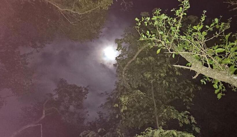 בית מלון כפרי Cabañas, Jardín De Las Palmas, Rancho Agroturístico, Tamuín S.l.p