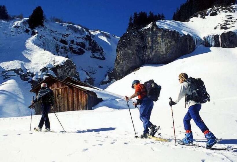 Les Aiguilles De Warens