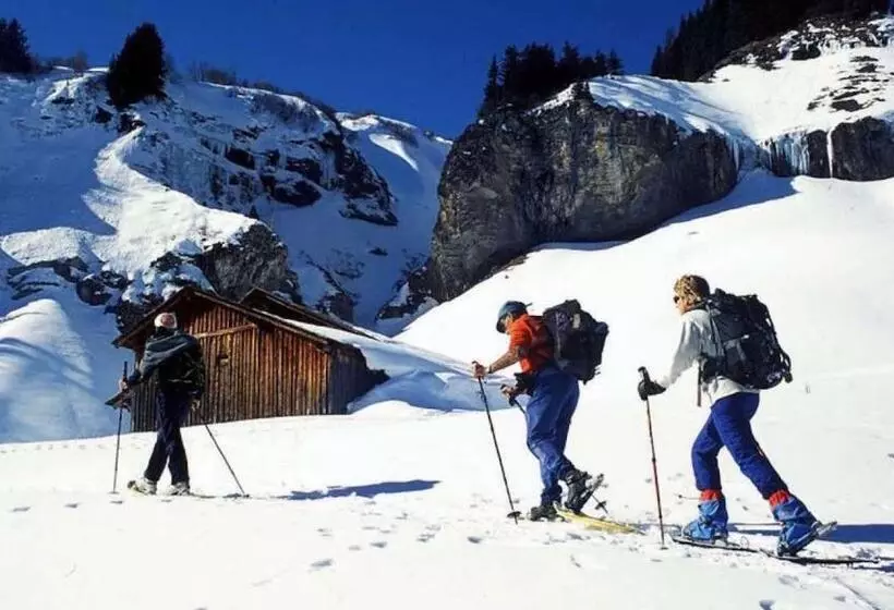 Les Aiguilles De Warens