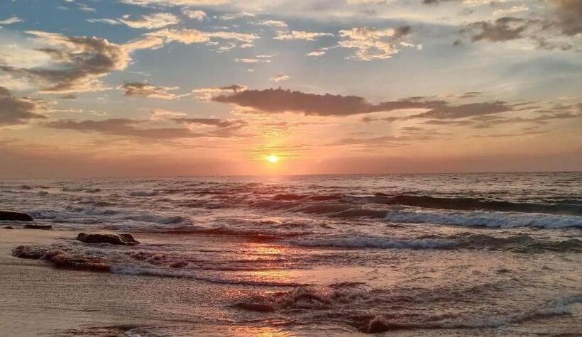 膳宿费 Beach Bungalow