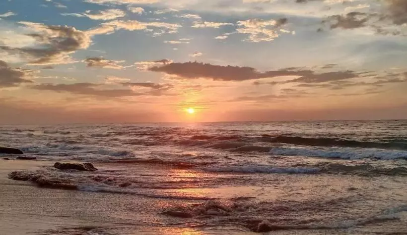 پانسیون Beach Bungalow