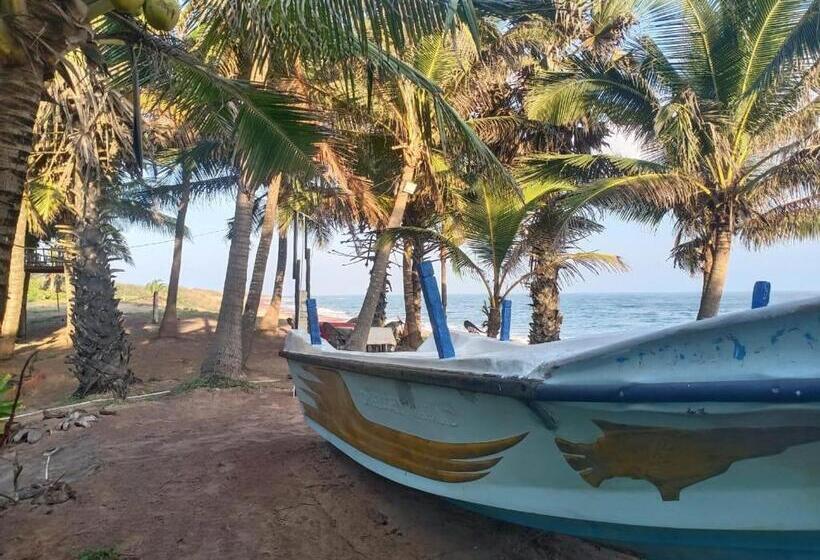 פנסיון Beach Bungalow