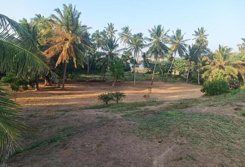 פנסיון Beach Bungalow