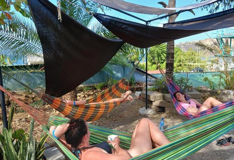 Пансион Hostel Saltwater