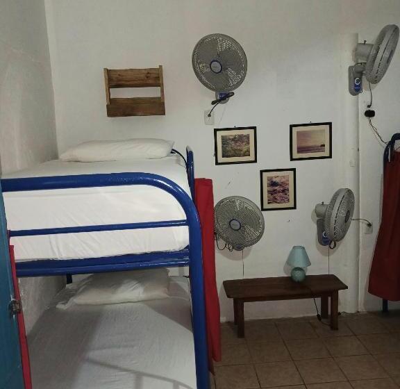 Пансион Hostel Saltwater