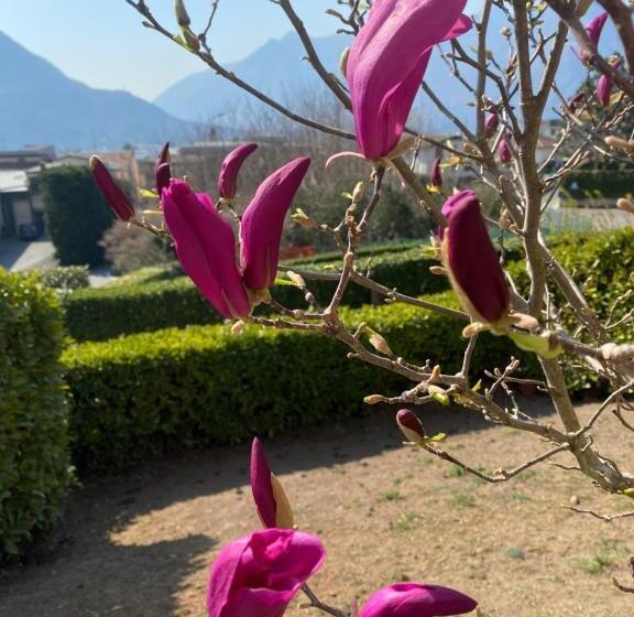 پانسیون Villa Montesole