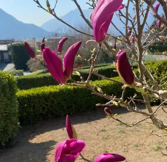 پانسیون Villa Montesole