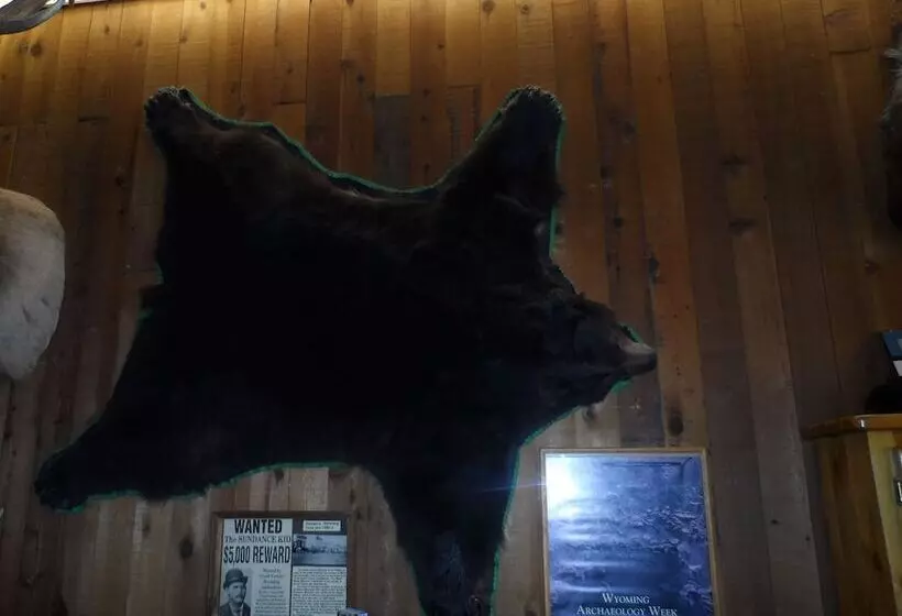 Bear Lodge Motel