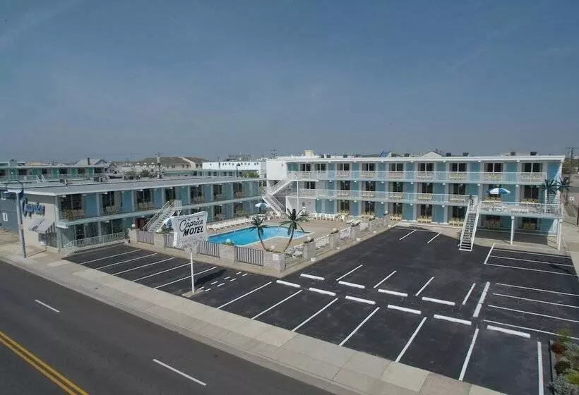 Caprice Motel   Wildwood