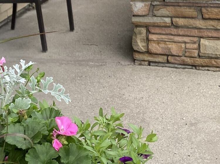 酒店 Big Bear Lodge