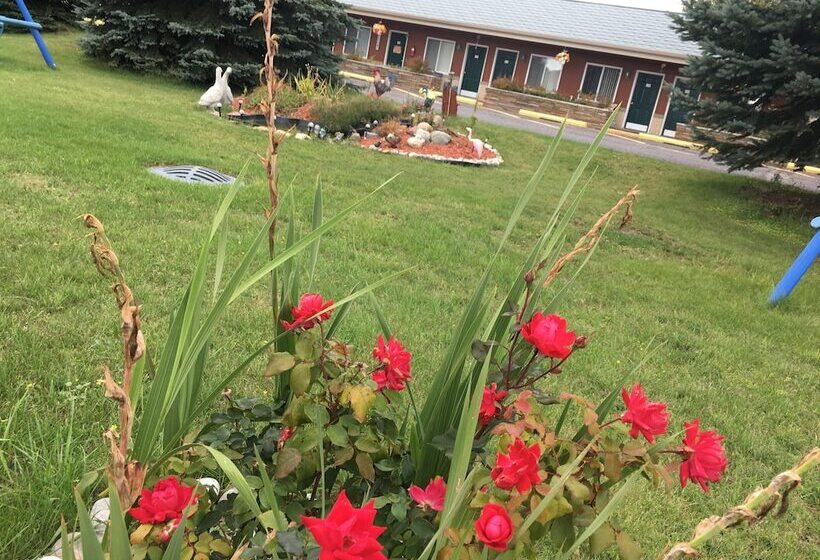 酒店 Big Bear Lodge