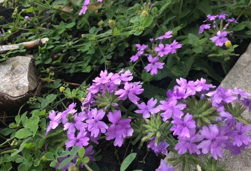 酒店 Big Bear Lodge