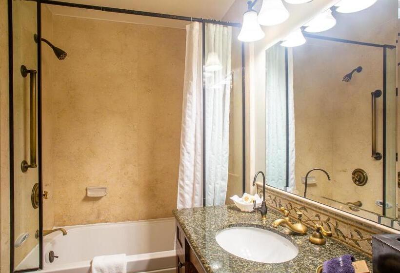 酒店 Castillo Inn At The Beach