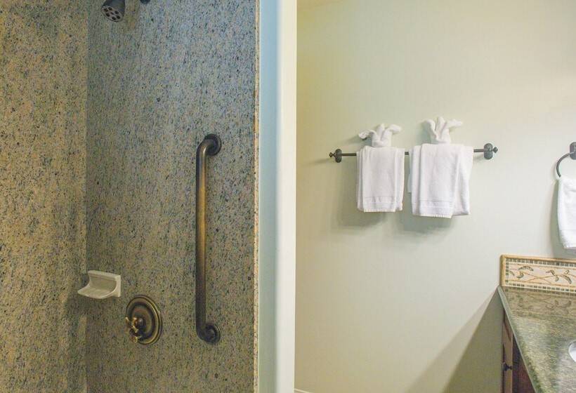 酒店 Castillo Inn At The Beach