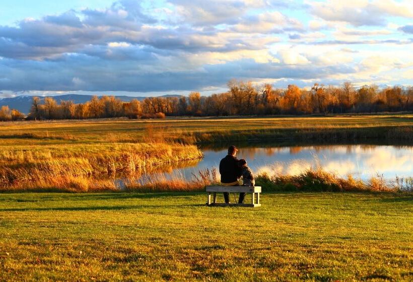 فندق Gallatin River Lodge