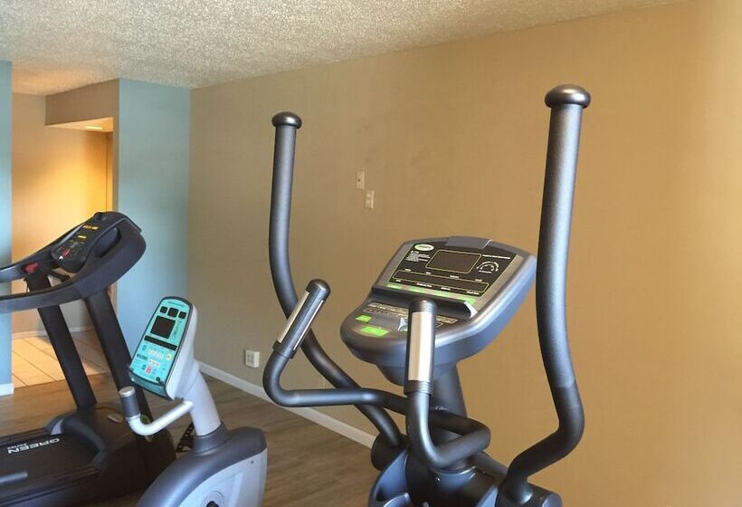 בית מלון כפרי Inn Of The Conchos