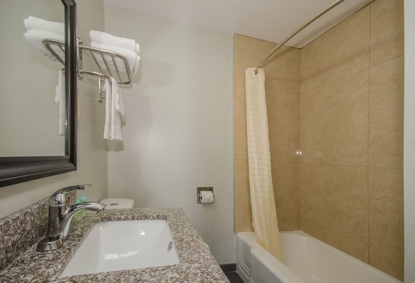 Отель Plaza Inn