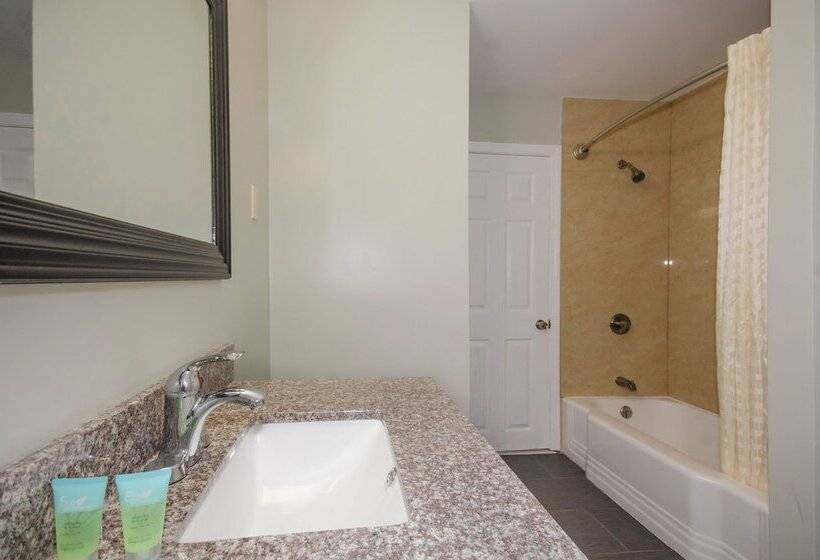 Отель Plaza Inn