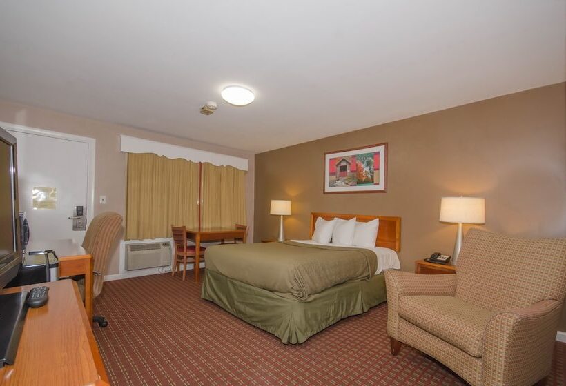 Отель Plaza Inn