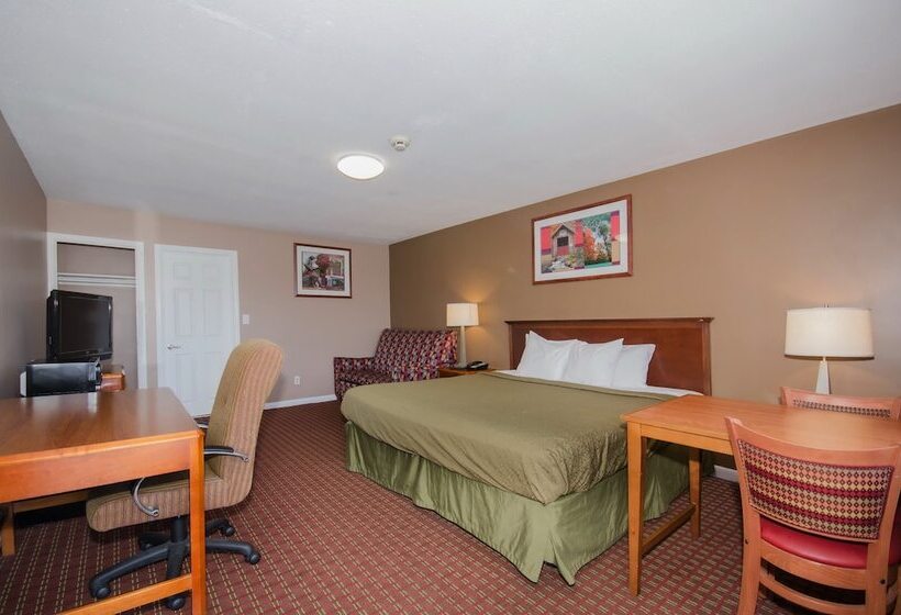 Отель Plaza Inn