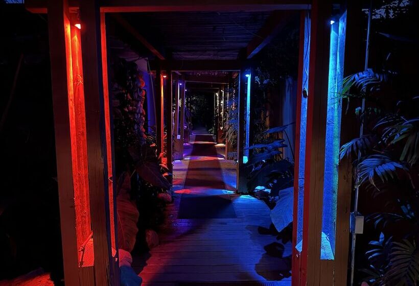 호텔 Vista Grande Resort   A Gay Men S Resort