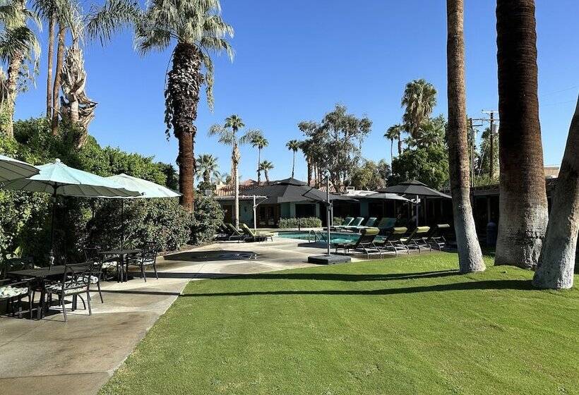 호텔 Vista Grande Resort   A Gay Men S Resort