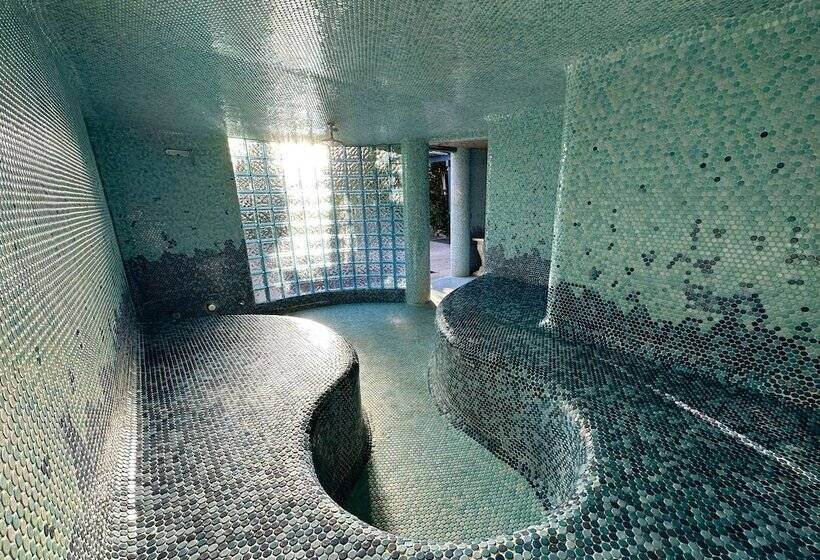 호텔 Vista Grande Resort   A Gay Men S Resort