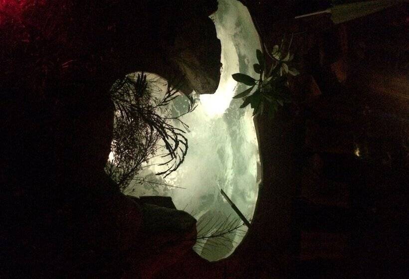 호텔 Vista Grande Resort   A Gay Men S Resort