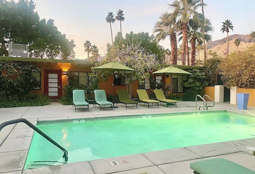 호텔 Vista Grande Resort   A Gay Men S Resort