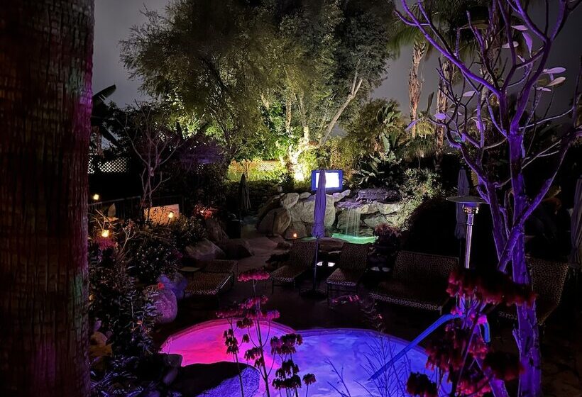 호텔 Vista Grande Resort   A Gay Men S Resort