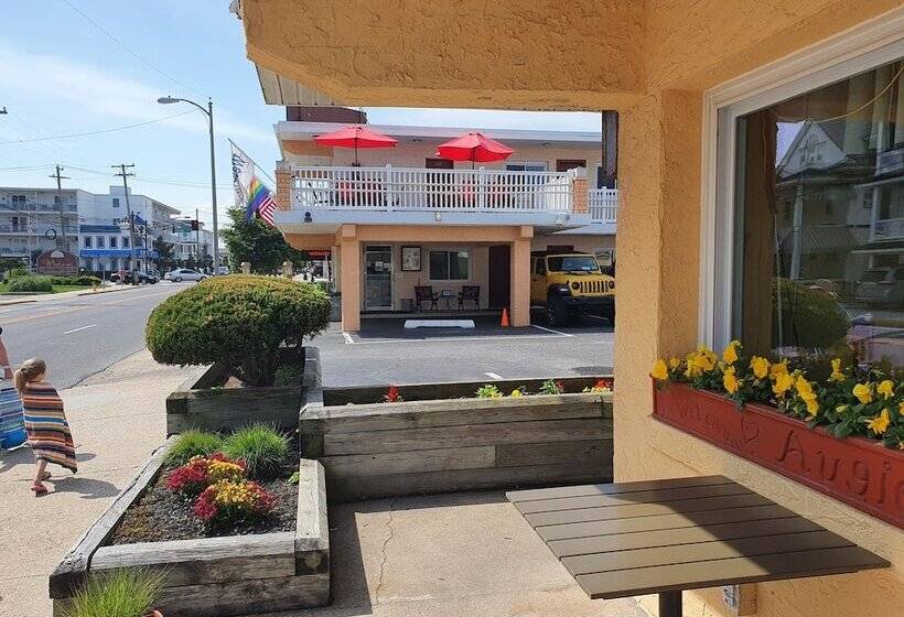 The Coral Sands Motel