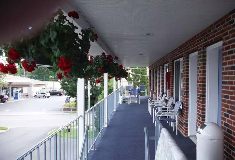 The Springs Motel