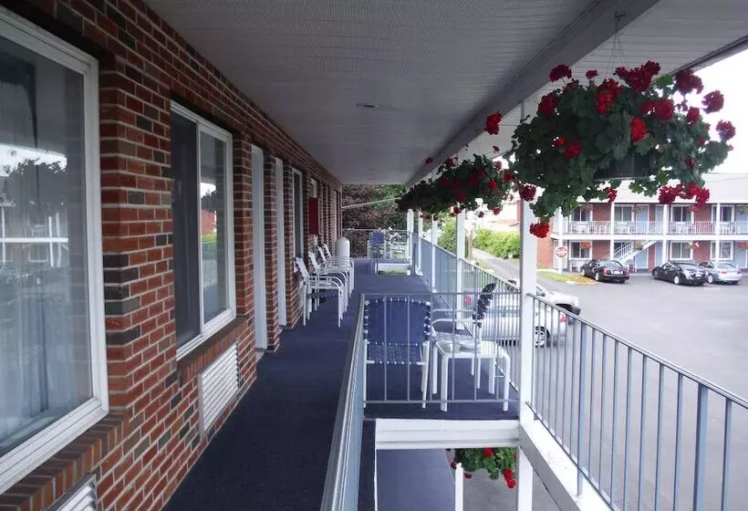The Springs Motel