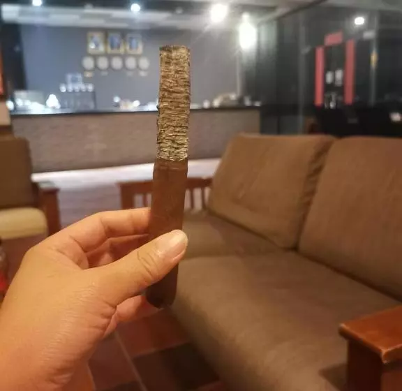 双棕榈度假村