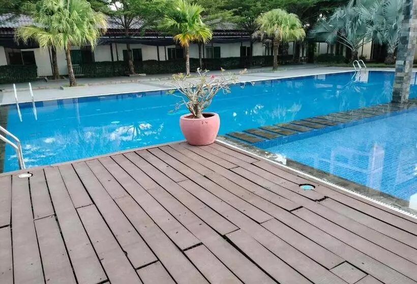 双棕榈度假村