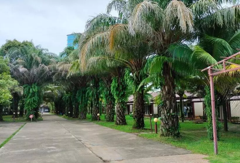 双棕榈度假村