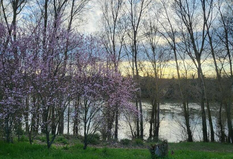 فندق صغير Wonderbar