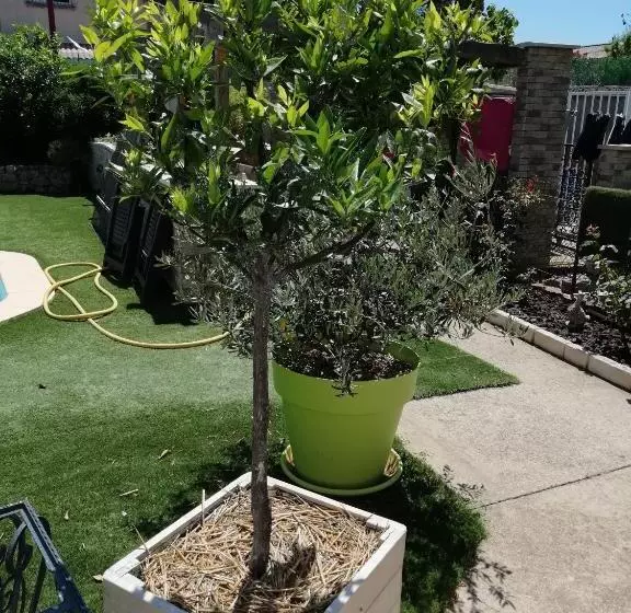 Aamiaismajoitus (B&B) Gîte Et Chambre D Hôte Entre Tilleul Et Agrumes