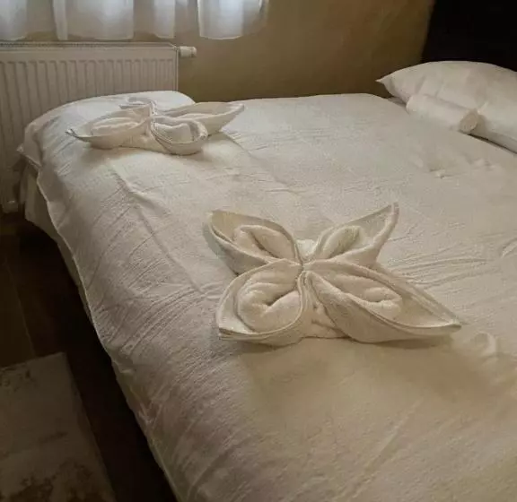 Aamiaismajoitus (B&B) Villa Potôň