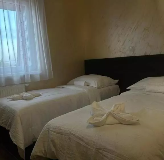 Aamiaismajoitus (B&B) Villa Potôň